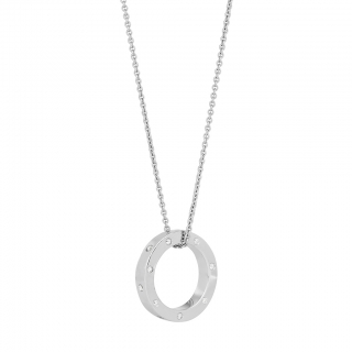 Sign silfurmen 110128